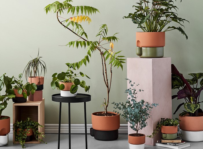The Art of Flower Pot Design: Unveiling the Most Creative and Aesthetic Options